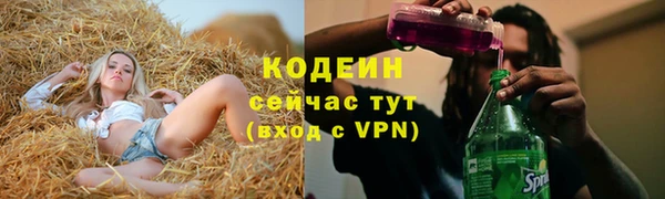 стафф Гусь-Хрустальный